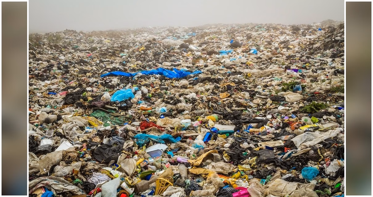 ¿Cómo reducir la contaminación ambiental?