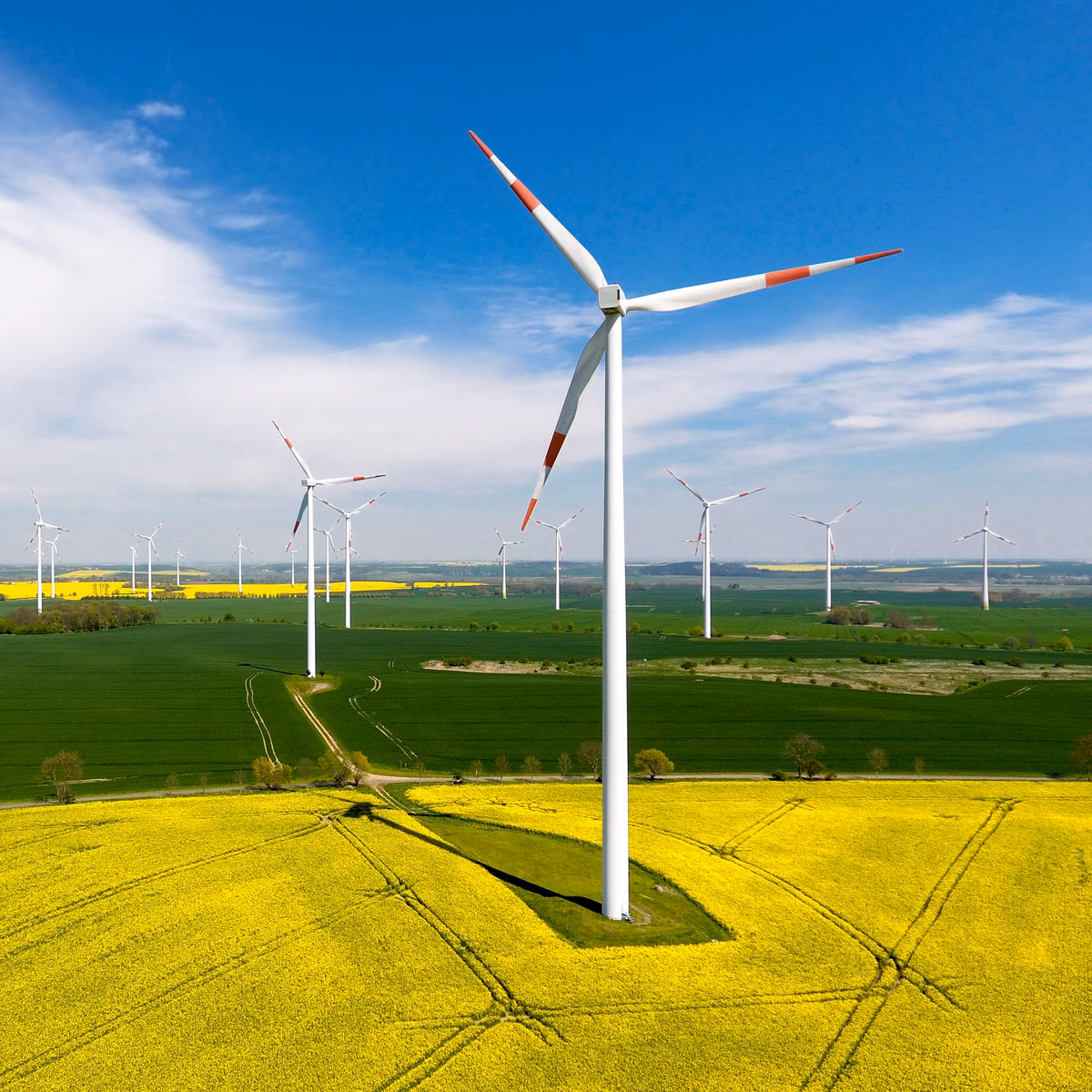 ¿Qué es el proyecto de energías renovables en México?