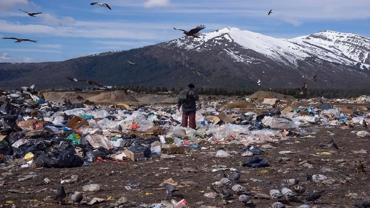 ¿Cuántas personas están afectadas por la enfermedad de los pinos?