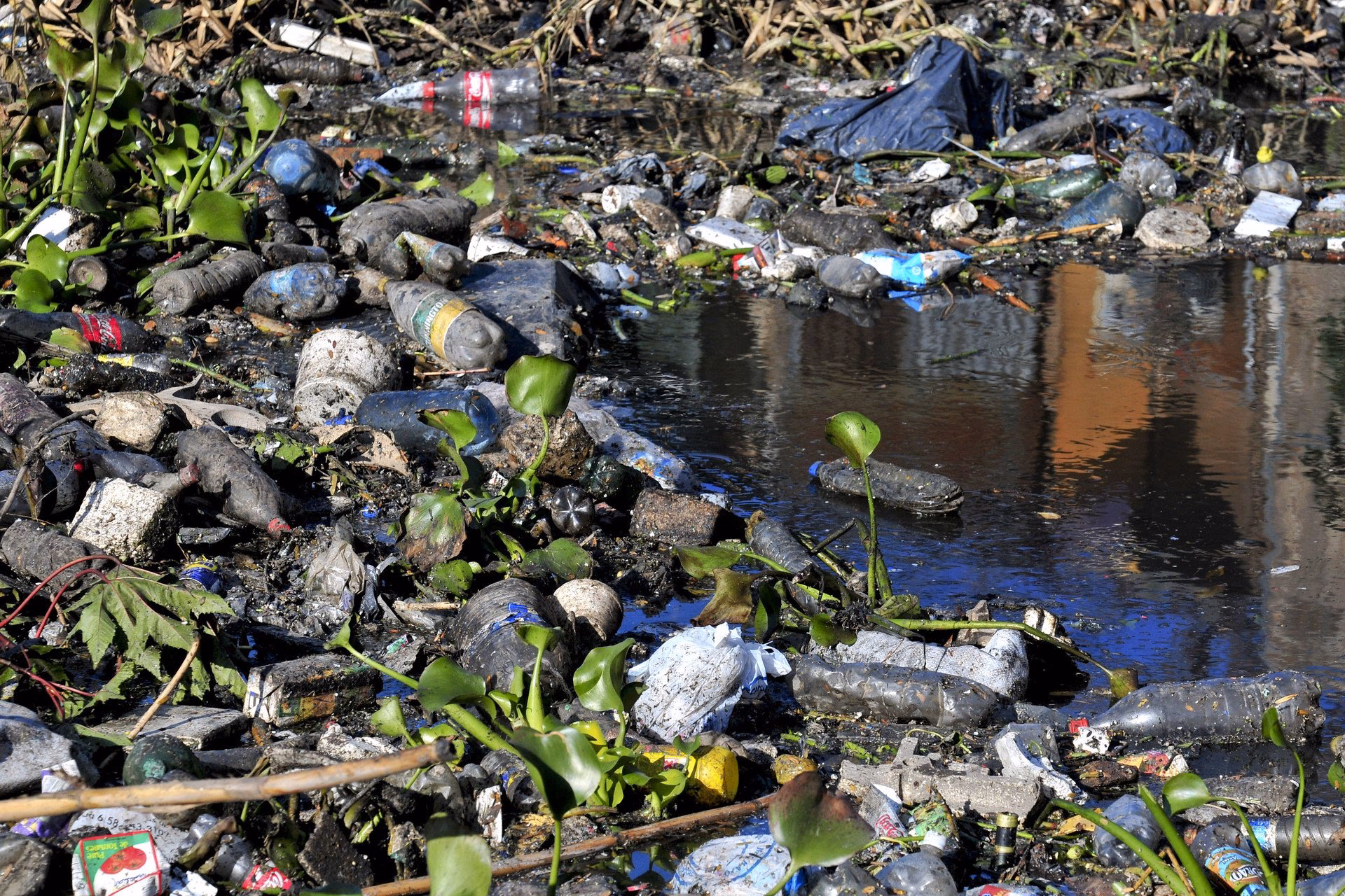 ¿Cómo reducir la contaminación del agua?