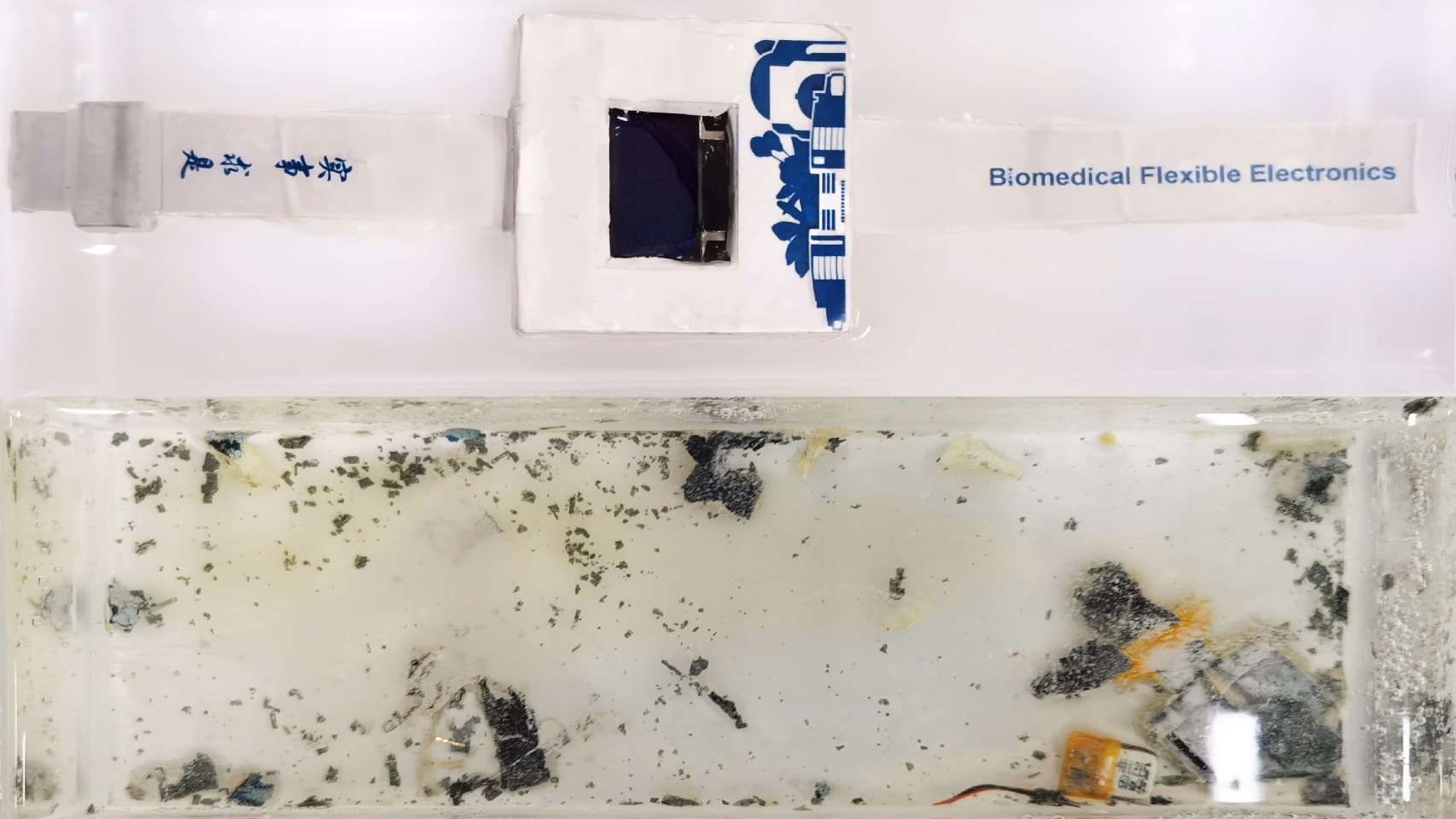 ¿Cuál es la marca de relojes que respeta el medio ambiente?