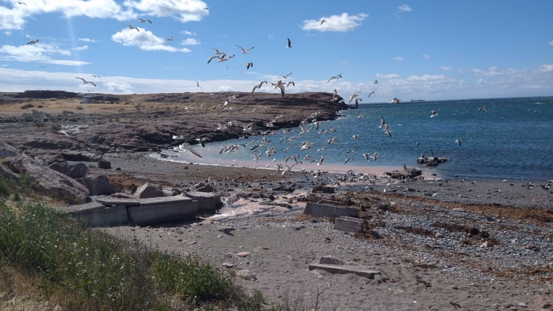 ¿Cómo se comprometen a tomar medidas de contención en la Patagonia?