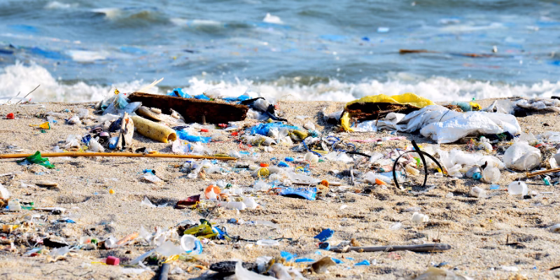 ¿Cuál es la influencia del macro y micro ambiente en las empresas?