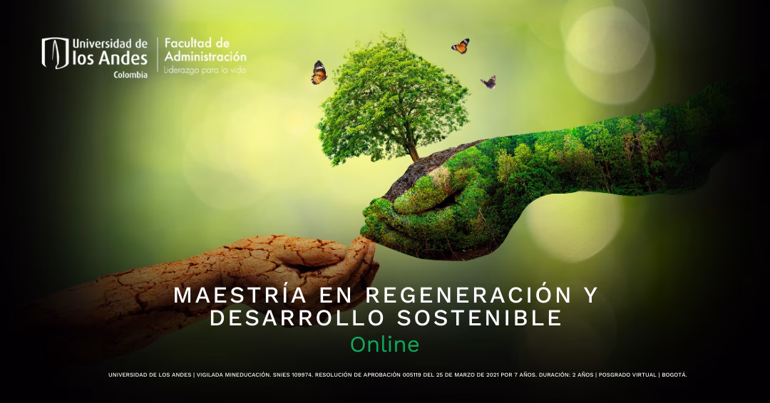 ¿Qué es la maestría en medio ambiente y desarrollo?