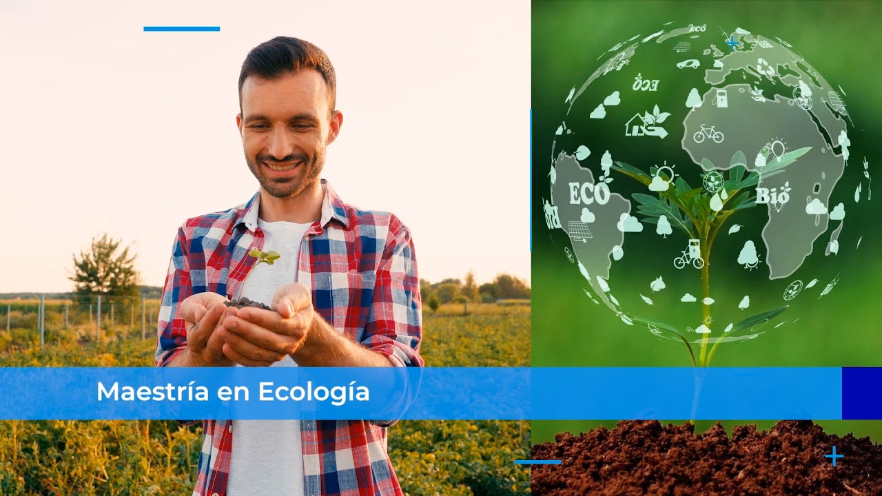 ¿Qué es la maestría en Ciencias Ambientales?