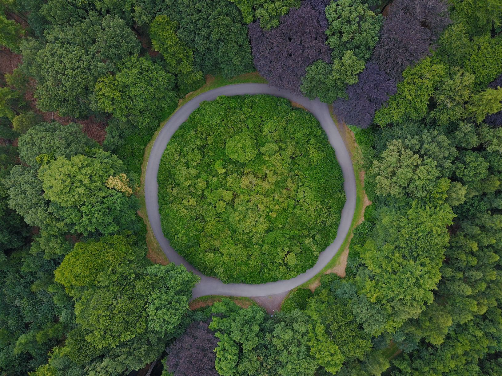 ¿Qué es el curso virtual de Economía Circular?