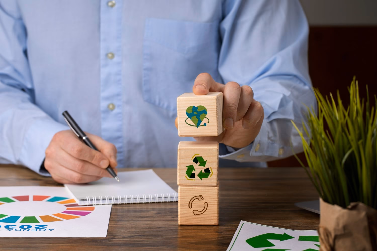 ¿Qué es la aplicación Sustainability Manager?