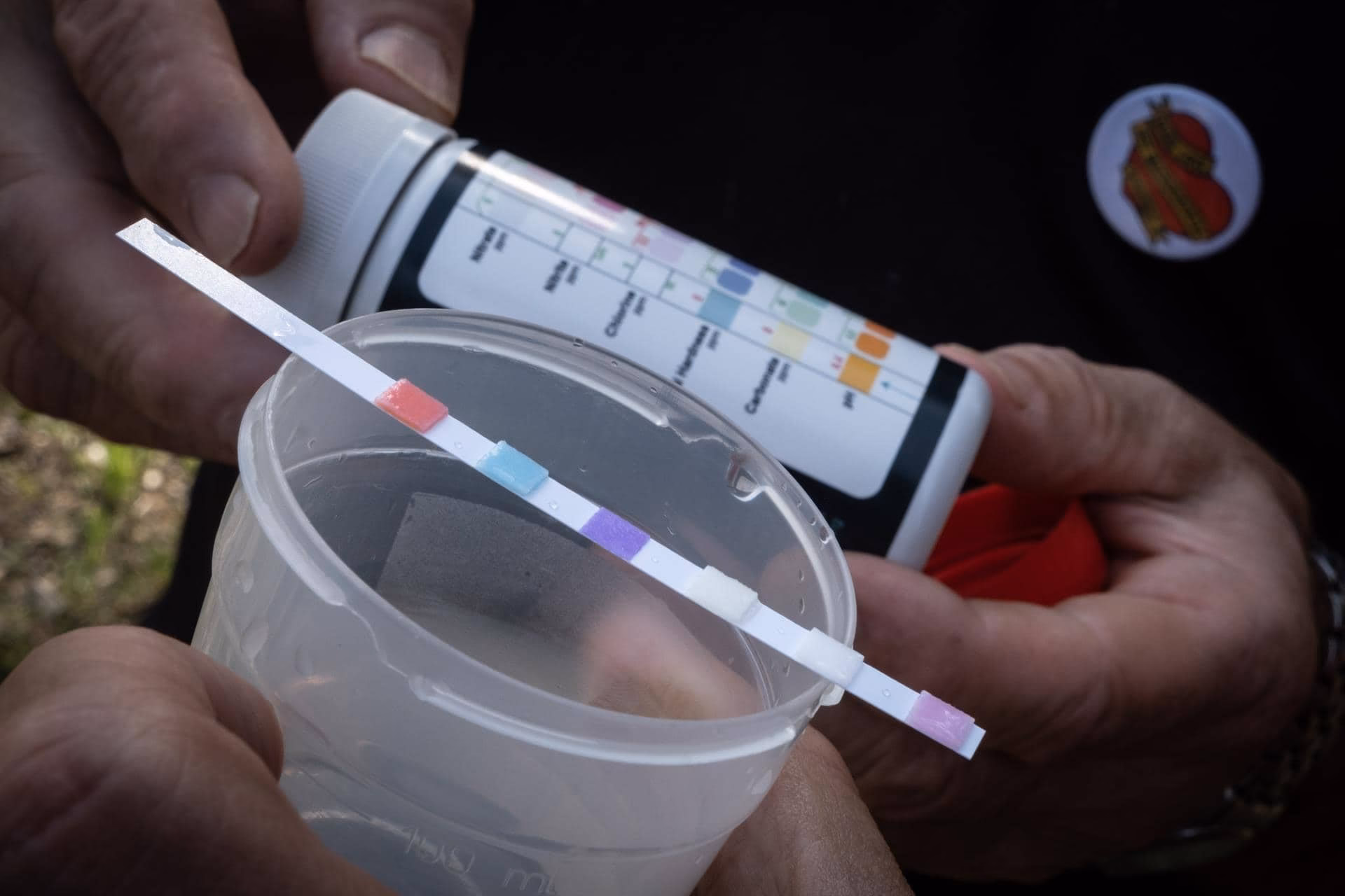 ¿Cuáles son las consecuencias del agua contaminada?