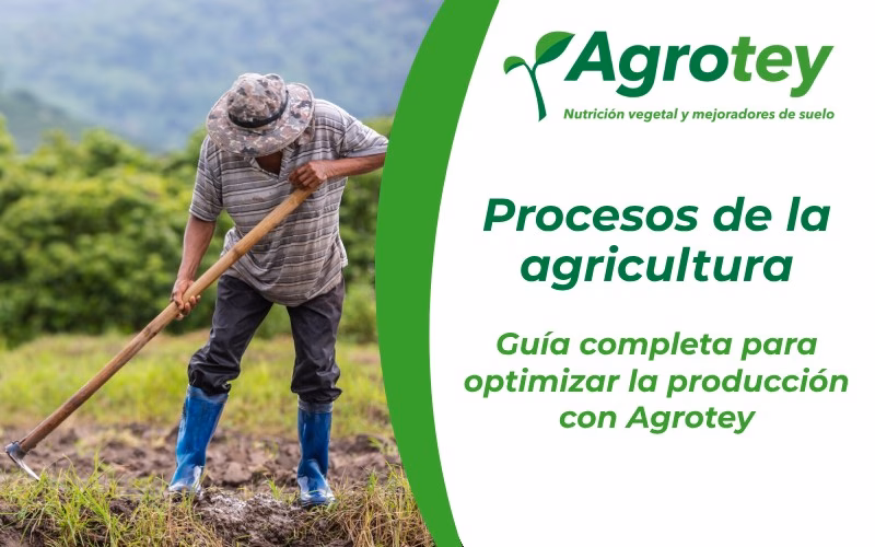 ¿Qué principios persiguen los sistemas productivos agroecológicos?
