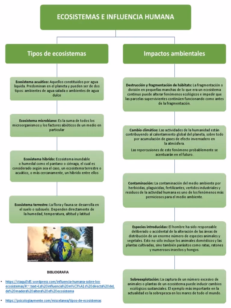 ¿Qué causa la formación de fragmentos en hábitats naturales?