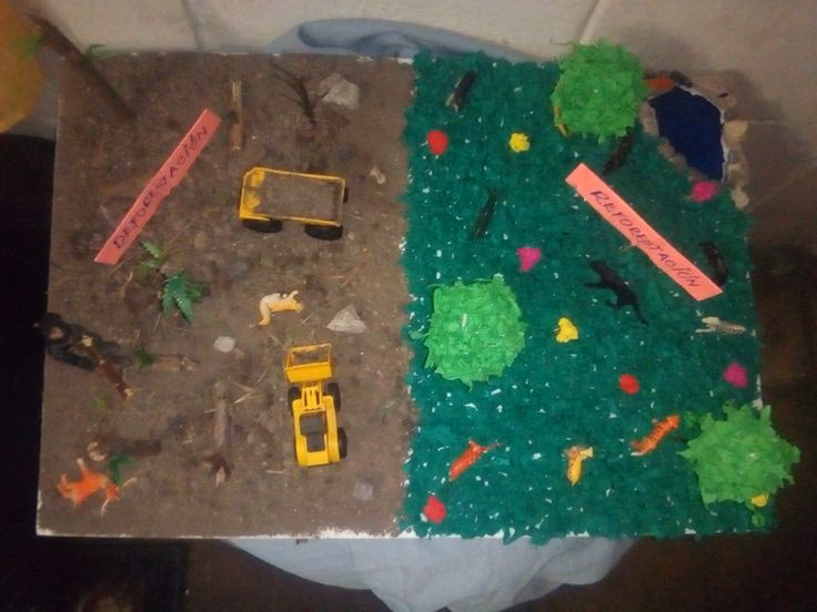 ¿Cómo evitar la deforestación en los bosques?