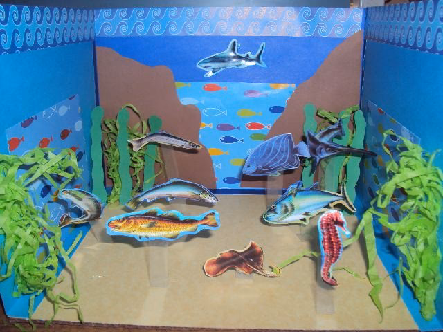 ¿Cuáles son los peces no frecuentes pescados en aguas de Mallorca?