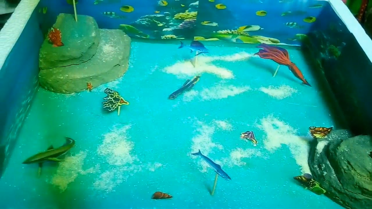 ¿Por qué las muestras de agua y peces están contaminadas por pesticidas?