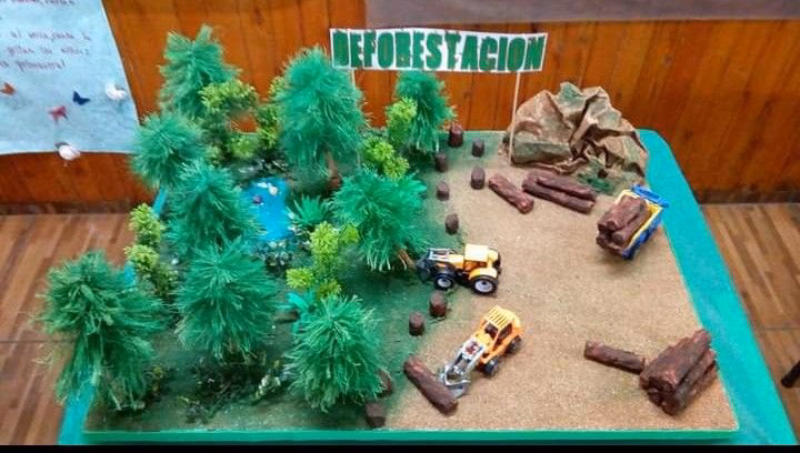 ¿Qué es el esquema de deforestación?