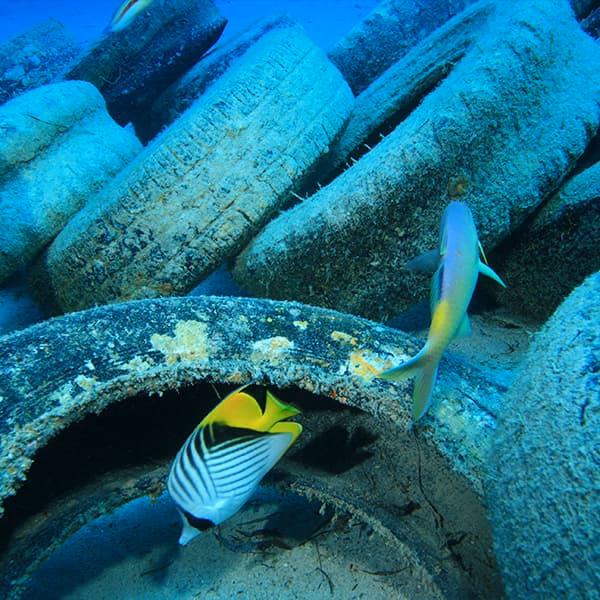 ¿Cuáles son las consecuencias de la contaminación de mares y océanos?