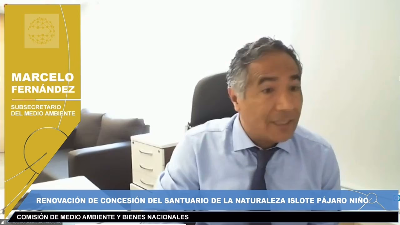 ¿Quién es el subsecretario del medio ambiente chileno?