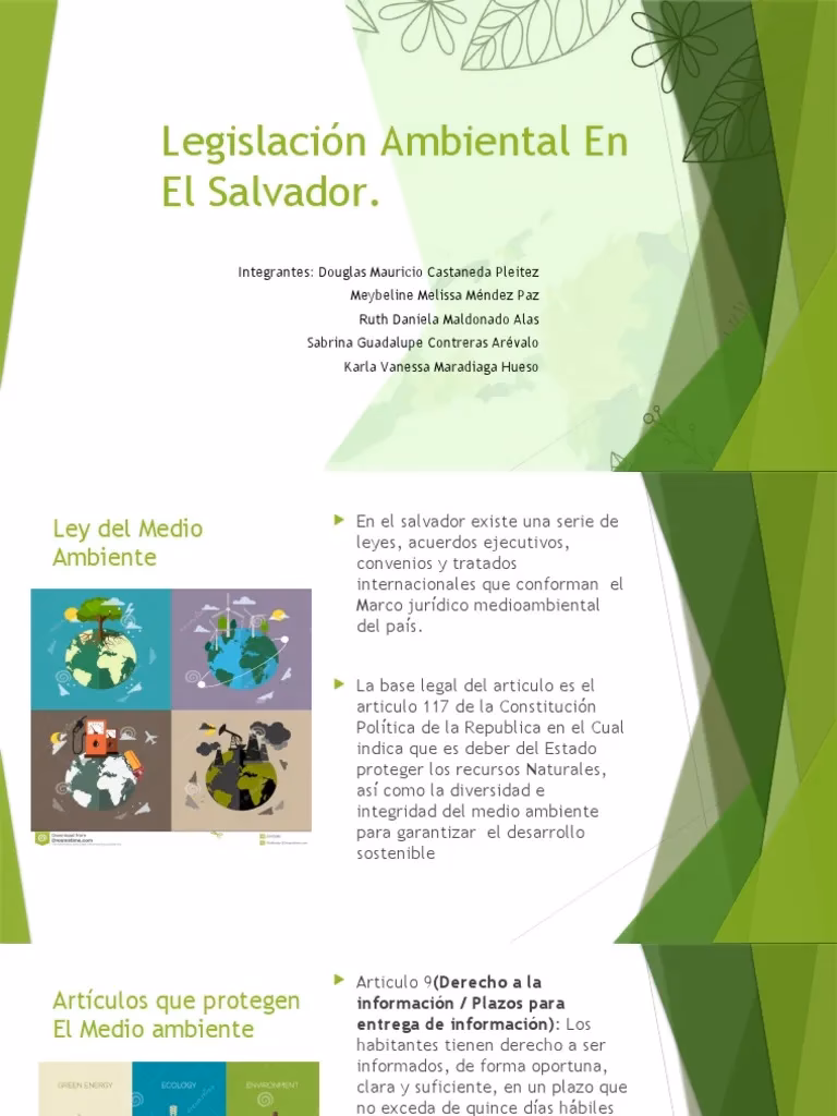 ¿Qué es el bloque de legalidad ambiental?
