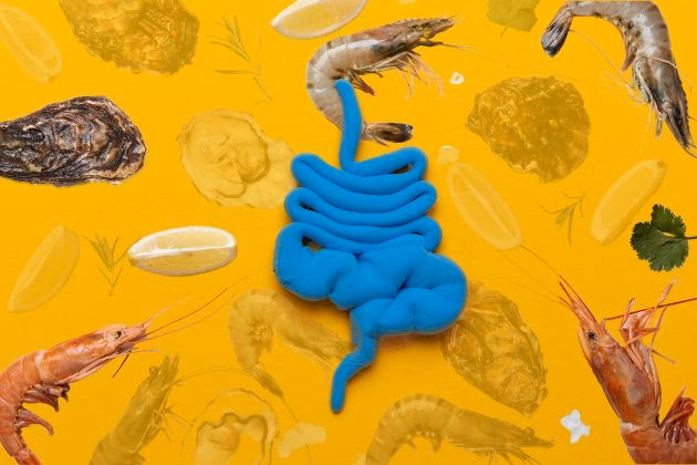 ¿Qué bacteria se encuentra en los mariscos crudos?