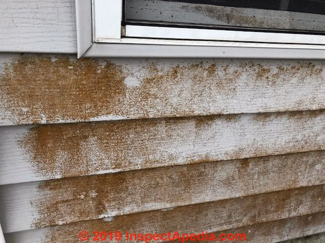 Why does my house have white efflorescence?