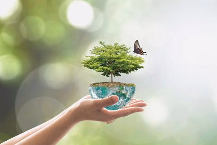 ¿Cuáles son las salidas laborales del Master en sostenibilidad y eficiencia energética?