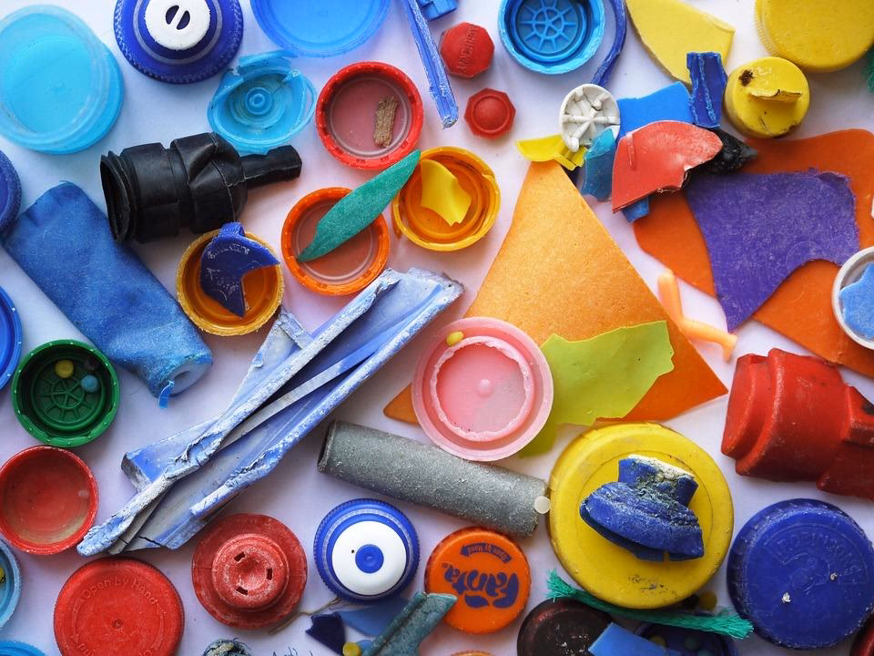 ¿Cuáles son las consecuencias de la ingesta de plástico?