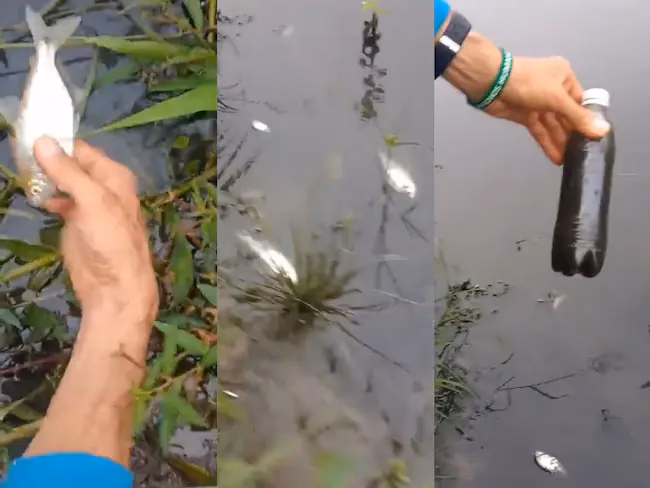 ¿Cómo reducir la contaminación del río Lempa?