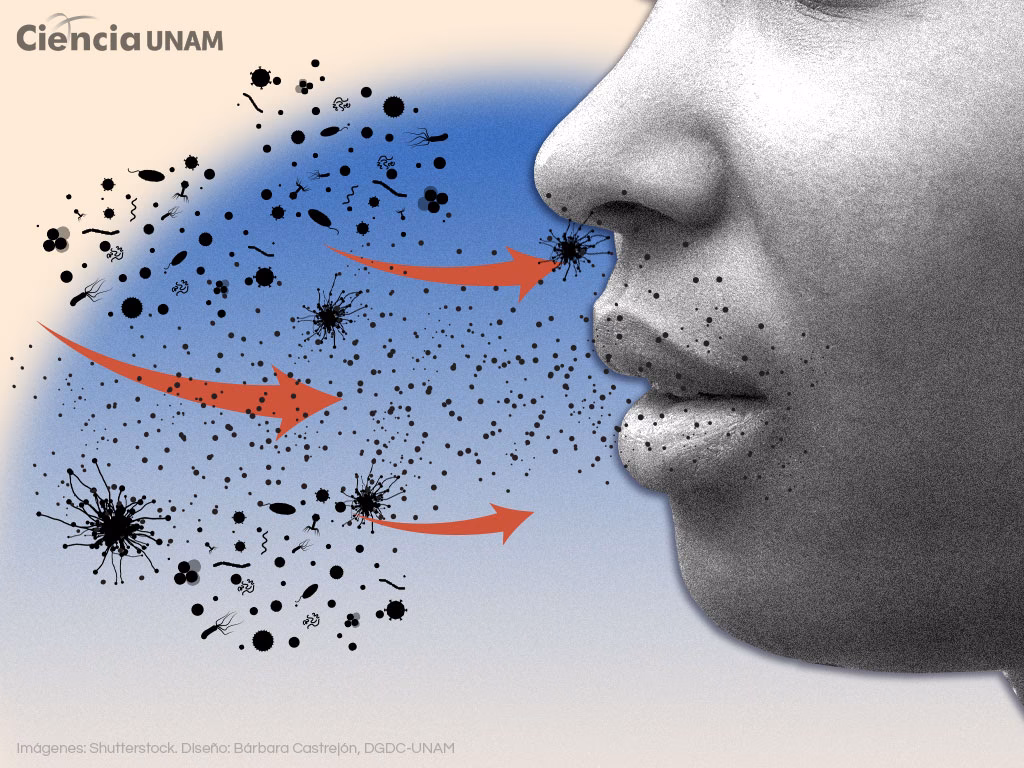 ¿Cómo protegerse de los virus ambientales?