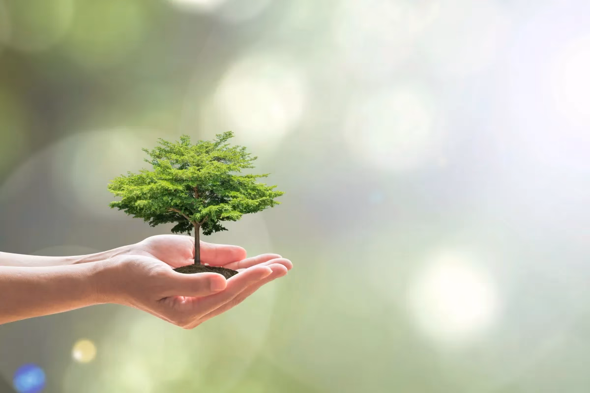 ¿Quién entiende en los procesos que atañen a medio ambiente?