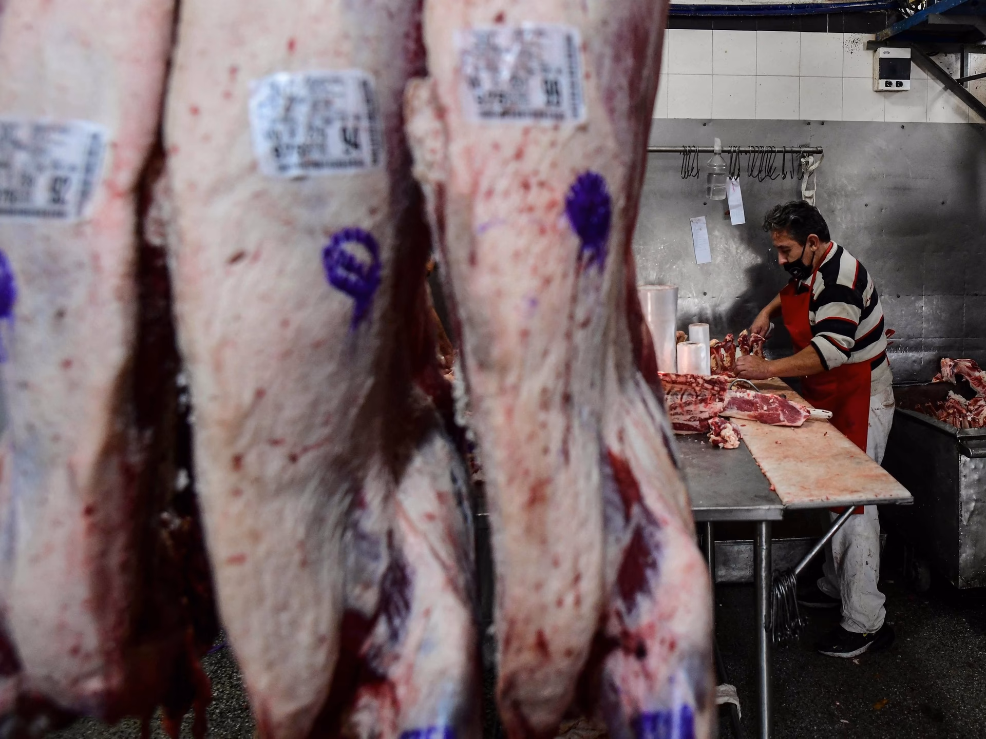 ¿Por qué es importante la distribución de medias reses desnudas?