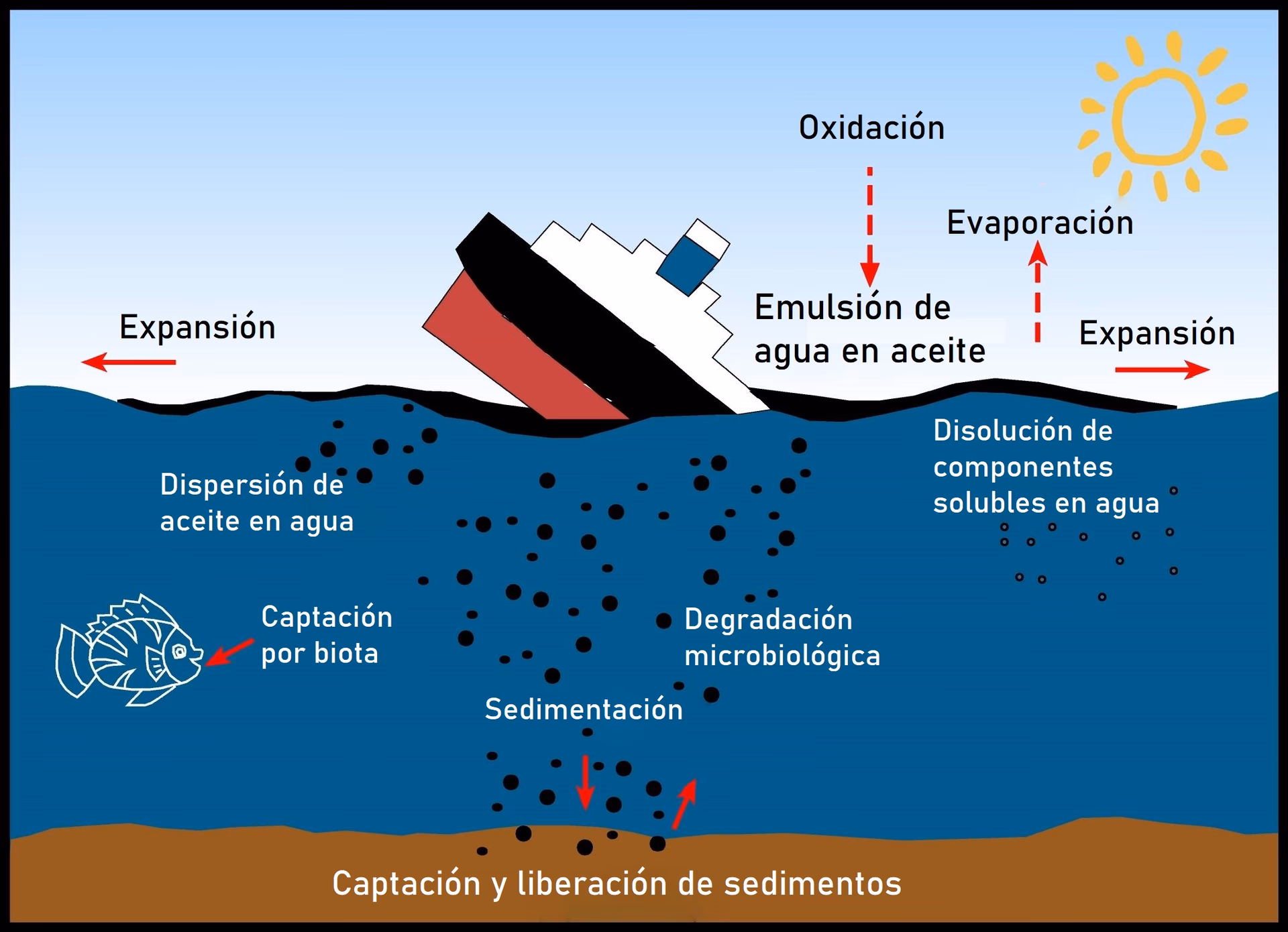¿Cómo afectan los hidrocarburos al medio ambiente?