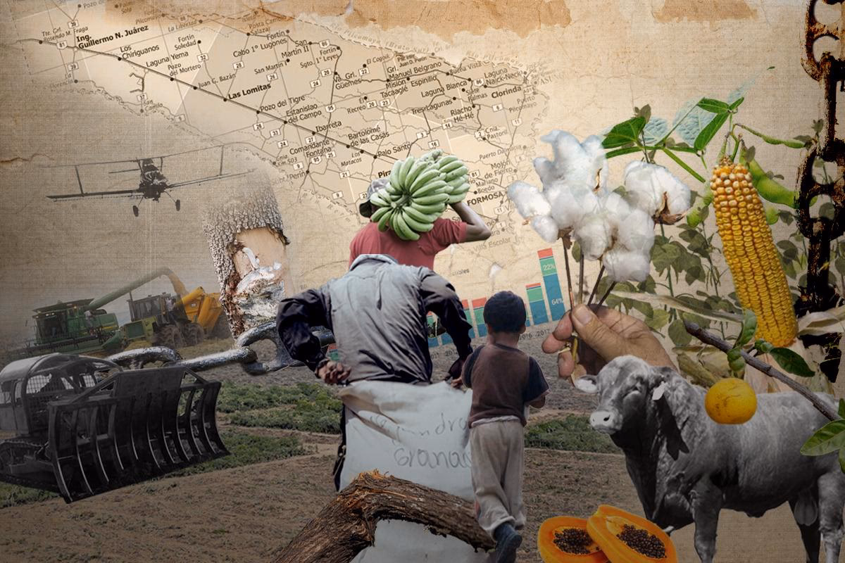 ¿Cuál es la voluntad política de Formosa?