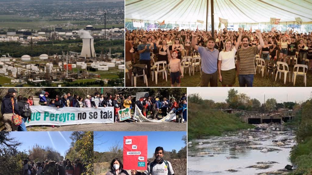 ¿Cuál es el efecto de la plata en el medio ambiente?
