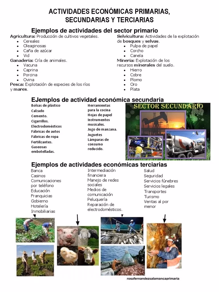 ¿Qué es la producción primaria y cómo afecta al medio ambiente?