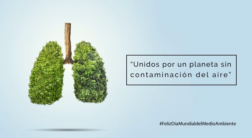 ¿Cuáles son los beneficios del ejercicio al aire libre?