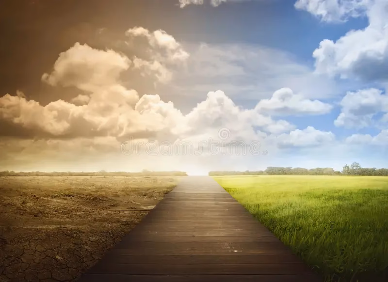 ¿Cómo afecta el cambio climático al medio ambiente?