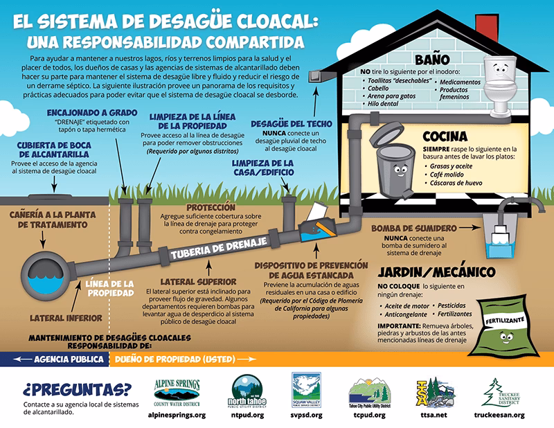¿Qué es una cloaca y para qué sirve?