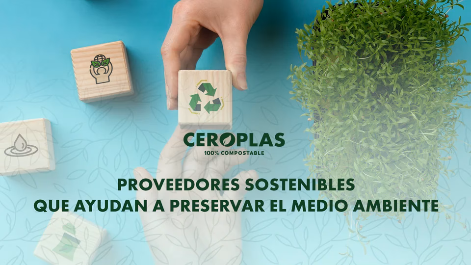 ¿Qué receptores perciben los estímulos del medio?