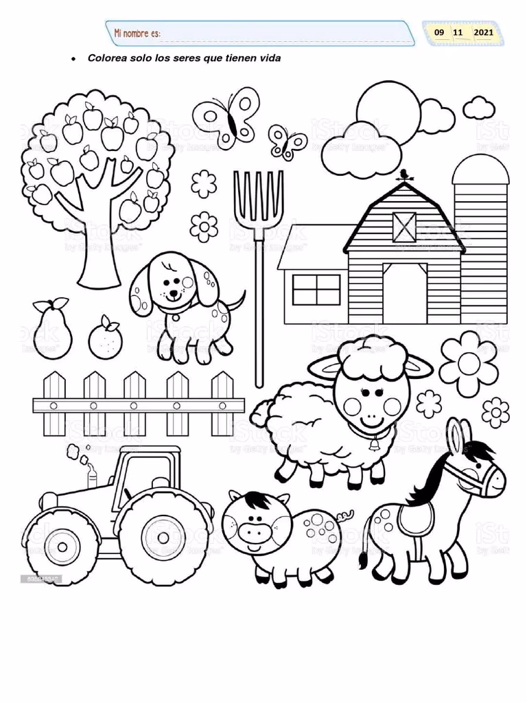 ¿Cuáles son los vivos del Medio Ambiente?