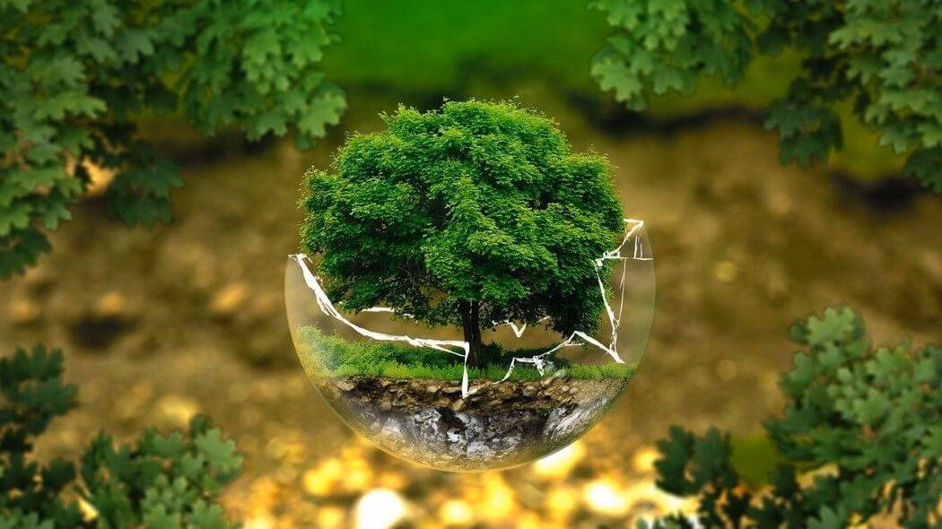 ¿Cómo mejorar el medio ambiente en Bogotá?