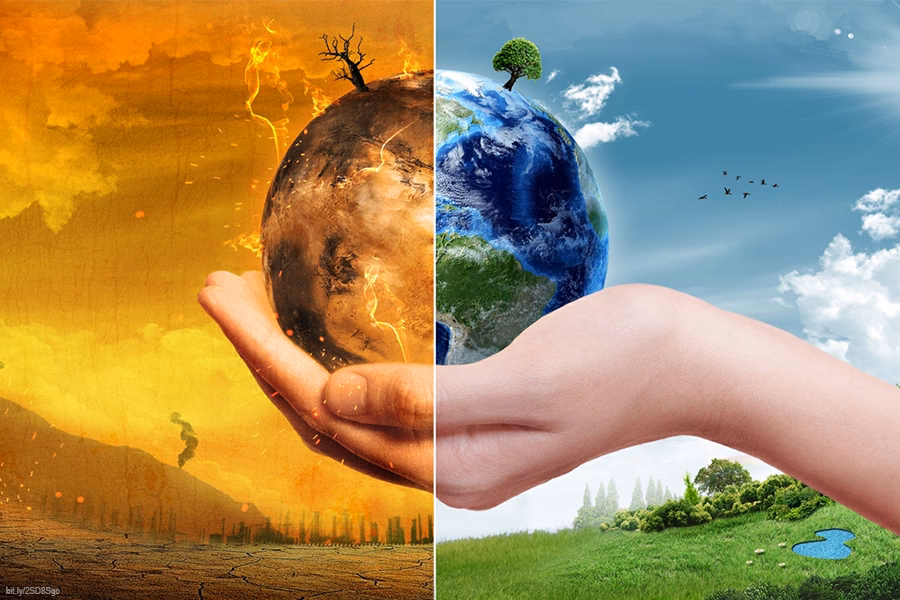 ¿Cuáles son los aspectos más tristes de la crisis ambiental global?