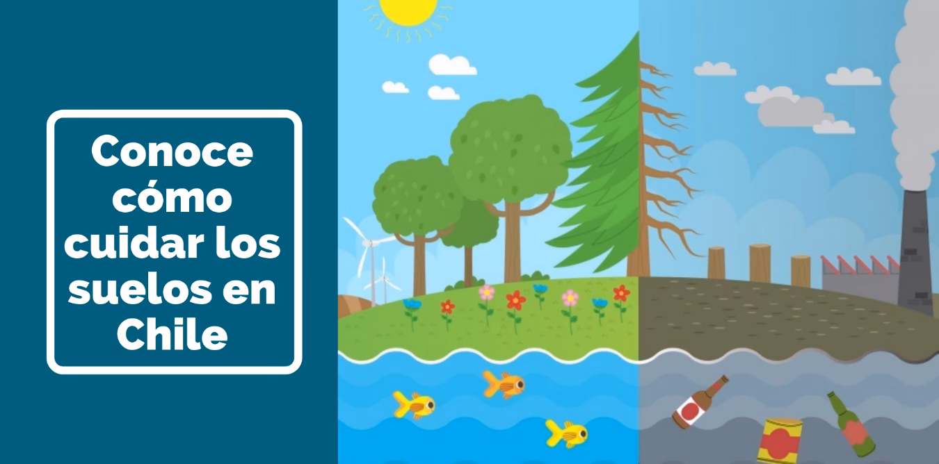¿Qué acciones Promovemos para la conservación del ambiente y el cuidado de los suelos?