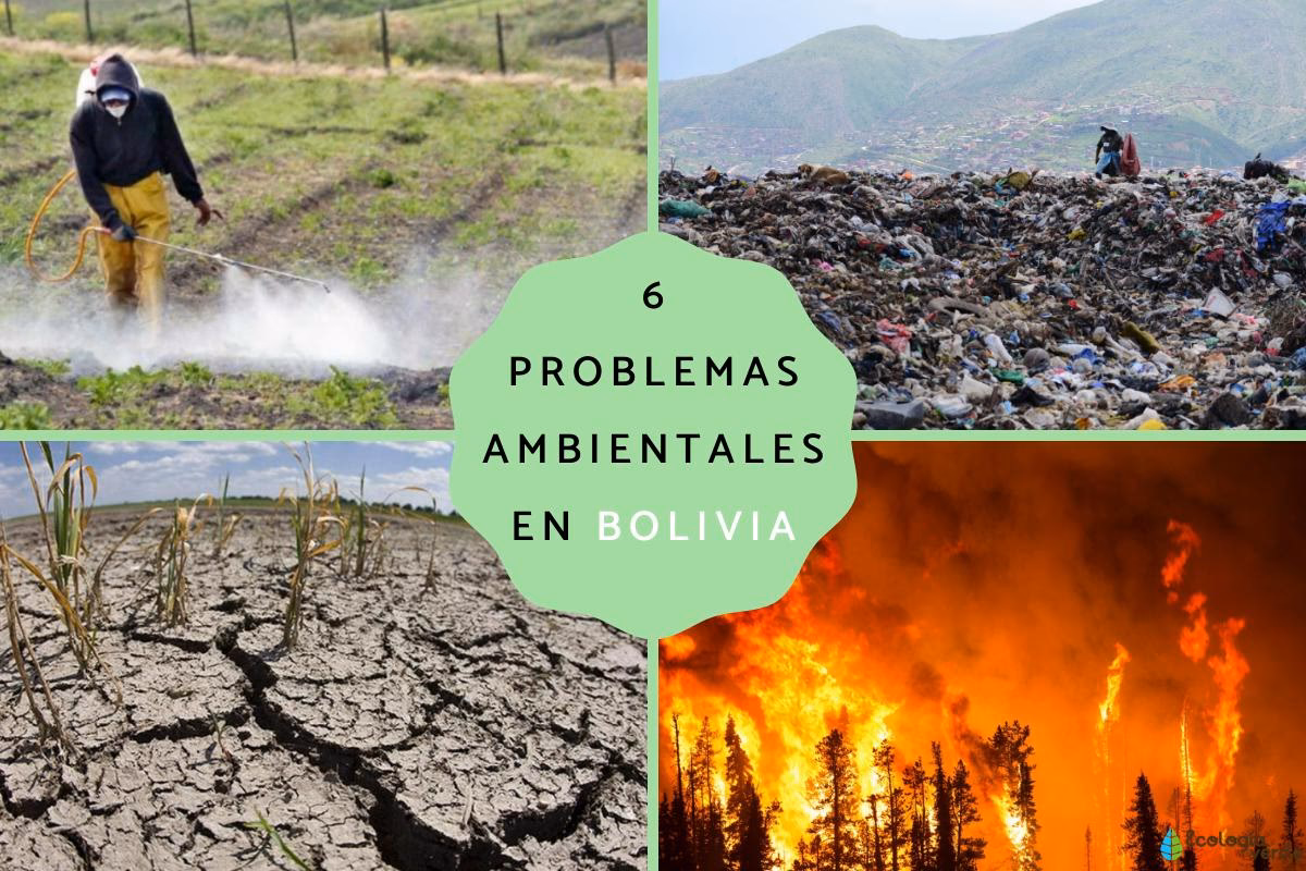 ¿Qué es la gestión ambiental en Bolivia?