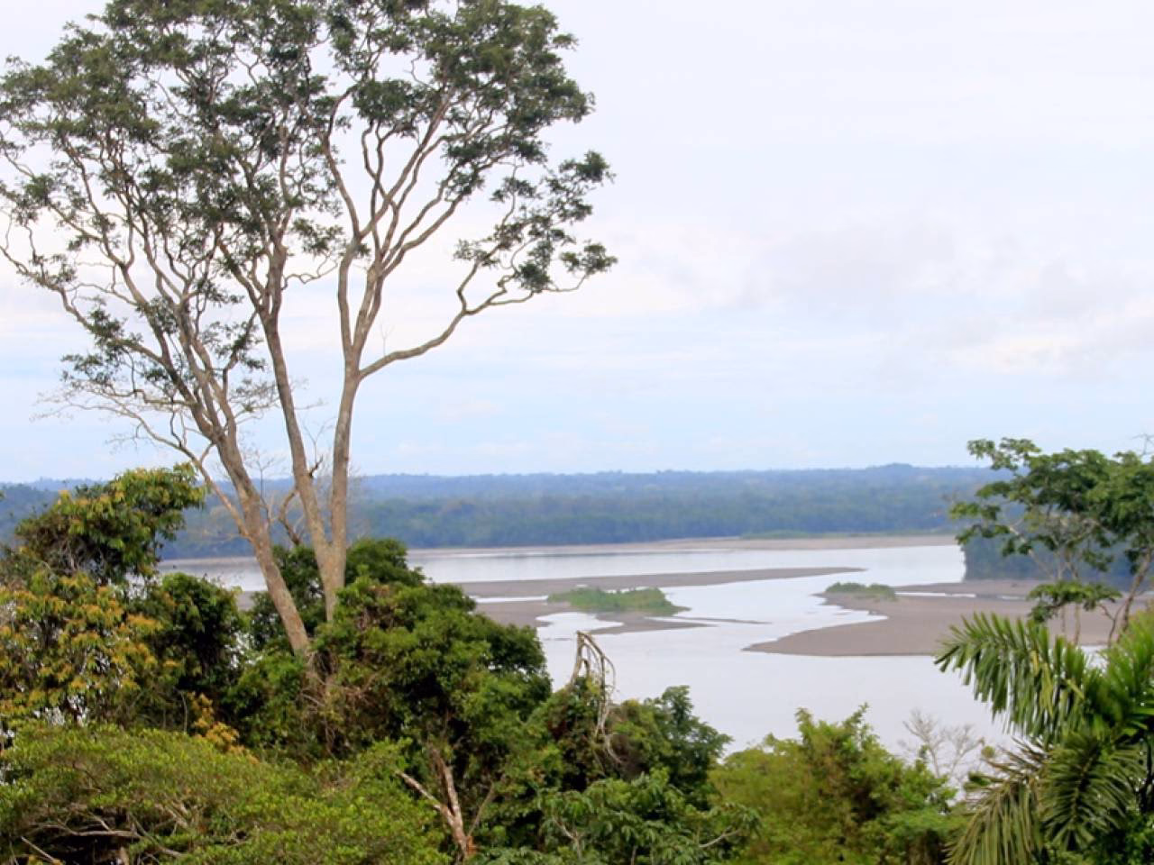 ¿Qué problema tiene Ecuador con las áreas protegidas?