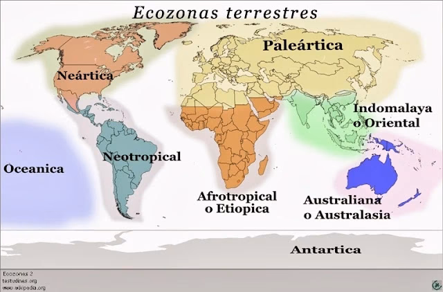 ¿Cómo afecta el ser humano a las regiones naturales?