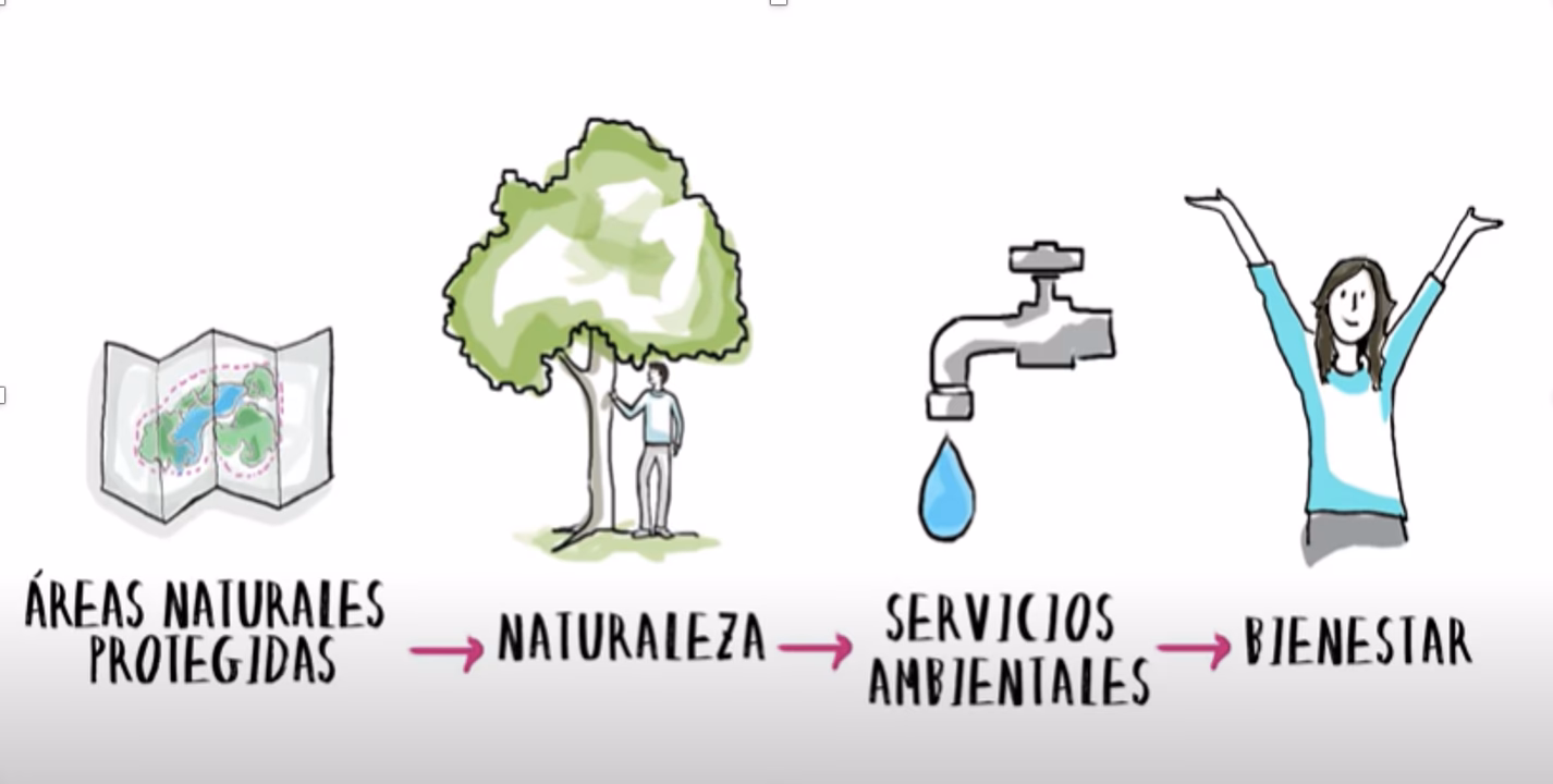 ¿Cuáles son los desafíos de las regiones naturales?