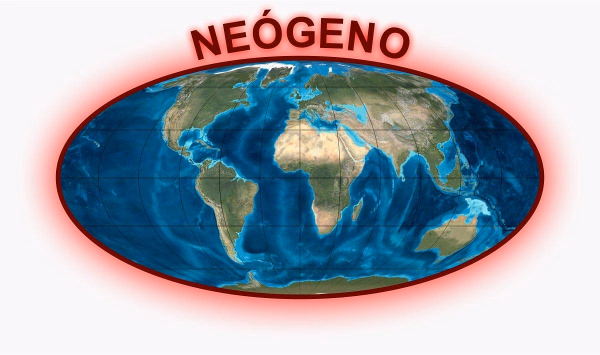 ¿Dónde se encuentra la categoría multimedia sobre Neógeno?