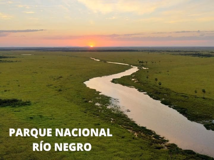 ¿Cuáles son las leyes ambientales de Río Negro?