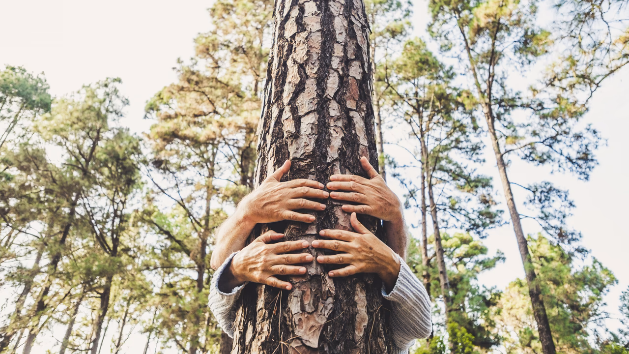 ¿Qué es la Universidad Autónoma medio ambiente?
