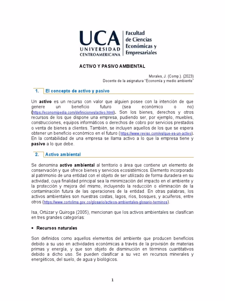 ¿Qué son los pasivos ambientales en contabilidad?