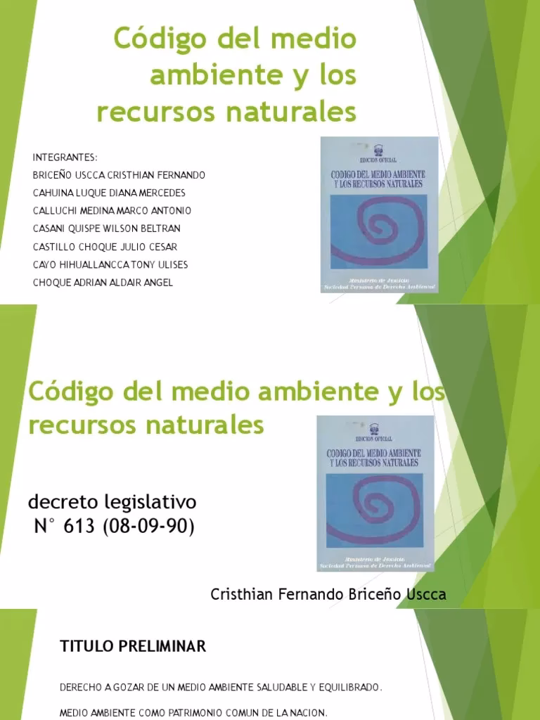 ¿Qué es el tratamiento normativo del ambiente?